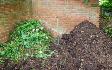 Winter Mulch for Vegetable Garden Image